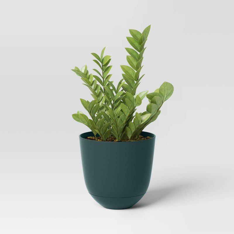 Self-Watering Plastic Indoor Outdoor Planter Pot Fern Shower 12"x12" - Room Essentials