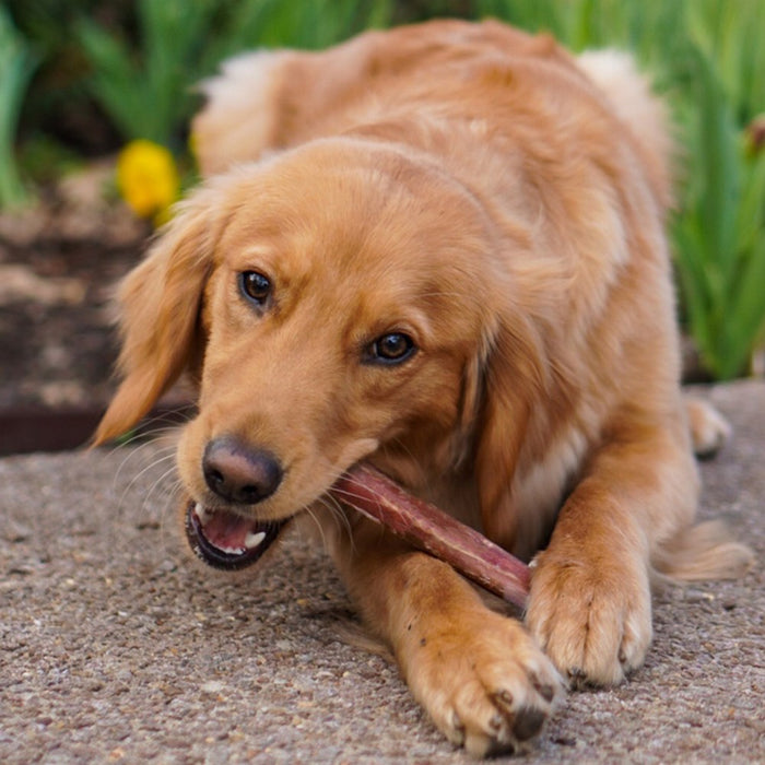 Cadet Bully Beef Sticks Large Dog Treats - 5