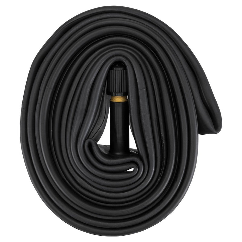 Schwinn 20" Bike Tire Tube