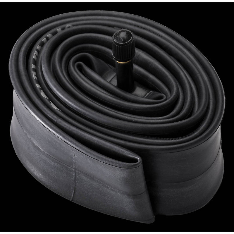 Schwinn 20" Bike Tire Tube
