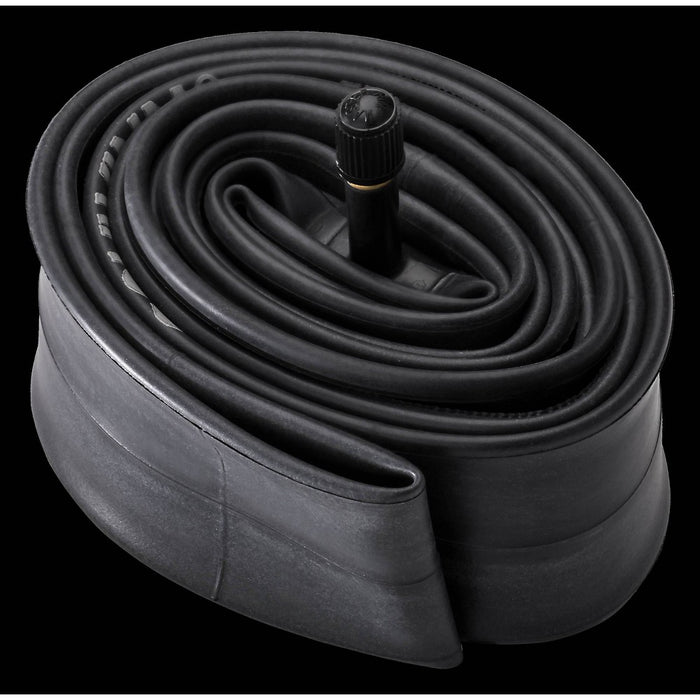 Schwinn 20" Bike Tire Tube