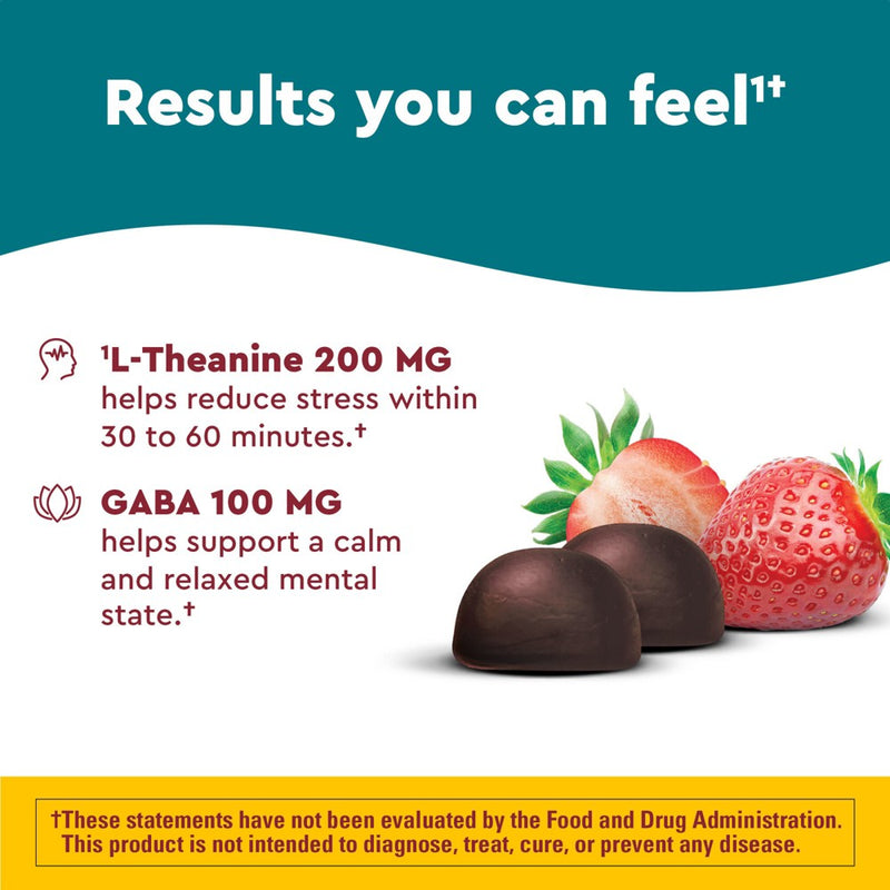 Nature Made Wellblends Stress Relief Gummies with L theanine and GABA - Strawberry Flavor - 40ct