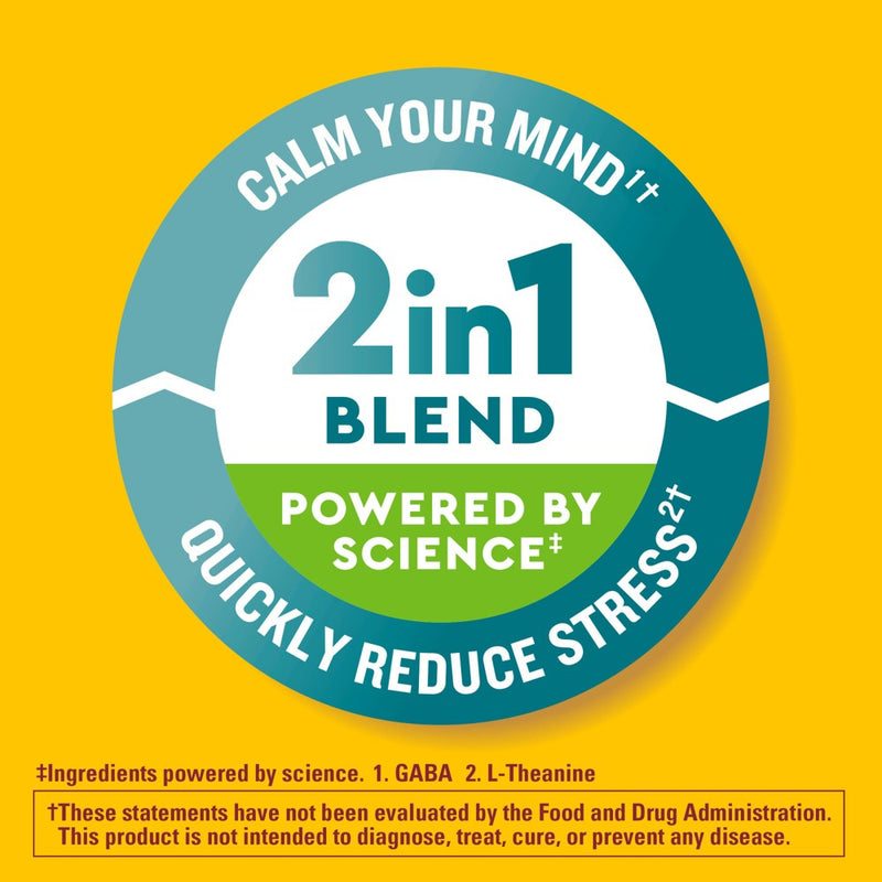 Nature Made Wellblends Stress Relief Gummies with L theanine and GABA - Strawberry Flavor - 40ct
