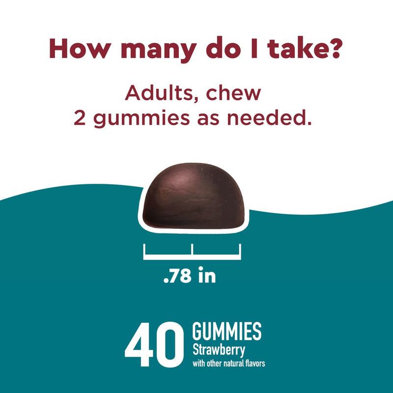 Nature Made Wellblends Stress Relief Gummies with L theanine and GABA - Strawberry Flavor - 40ct