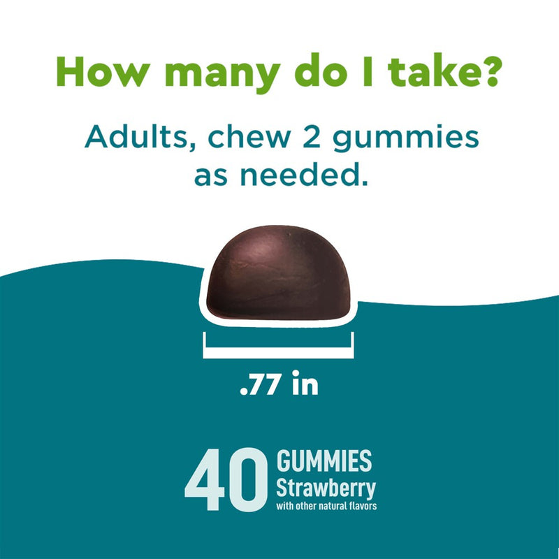 Nature Made Wellblends Stress Relief Gummies with L theanine and GABA - Strawberry Flavor - 40ct