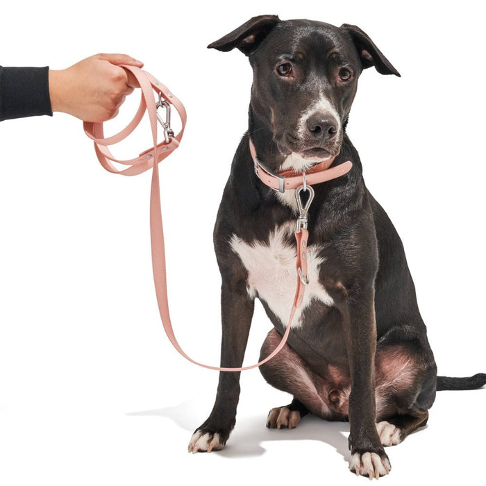 Wild One Water Dirt Resistant & Adjustable Dog Leash - Pink