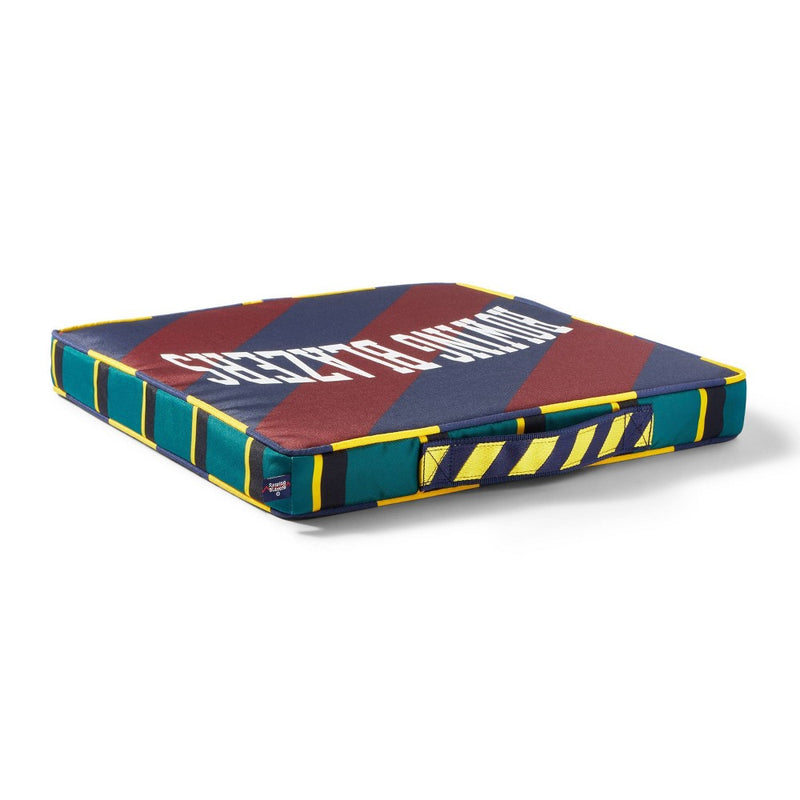 Rugby Stripe Stadium Seat Cushion - Rowing Blazers x Target