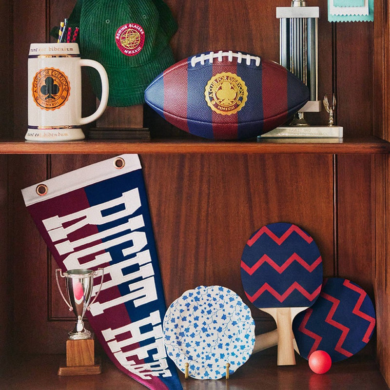 Croquet Stripe and Zig Zag Ping Pong Paddle Set - Rowing Blazers x Target