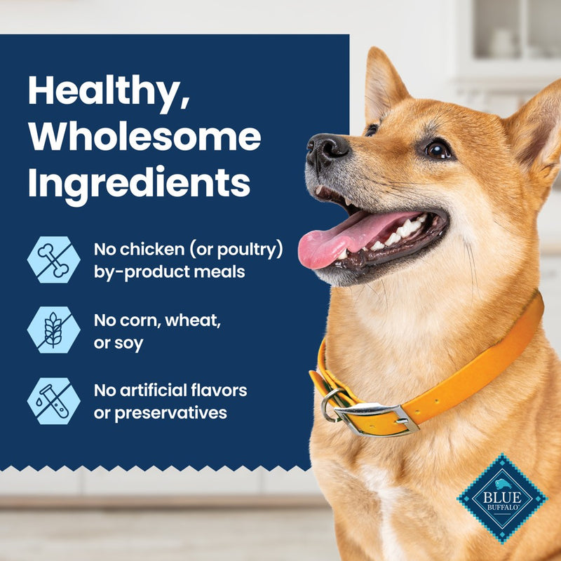 Blue Buffalo Dental Chew Large Flavored Dog Treat - 11oz