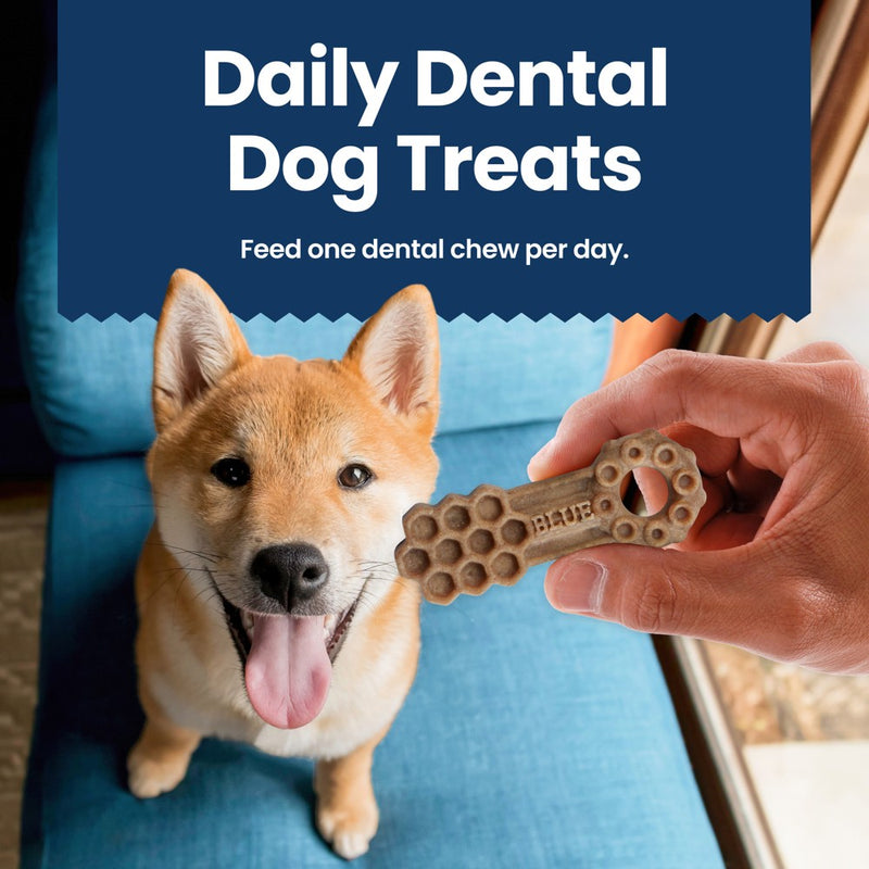 Blue Buffalo Dental Chew Large Flavored Dog Treat - 11oz