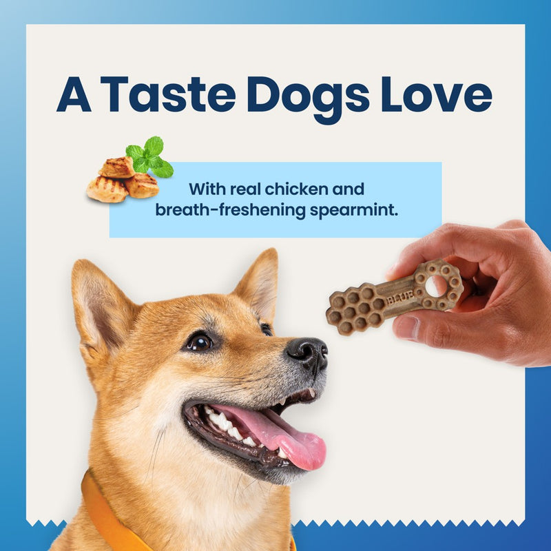 Blue Buffalo Dental Chew Large Flavored Dog Treat - 11oz