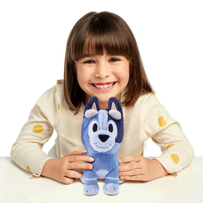 Bluey Friends Socks Small Stuffed Animal