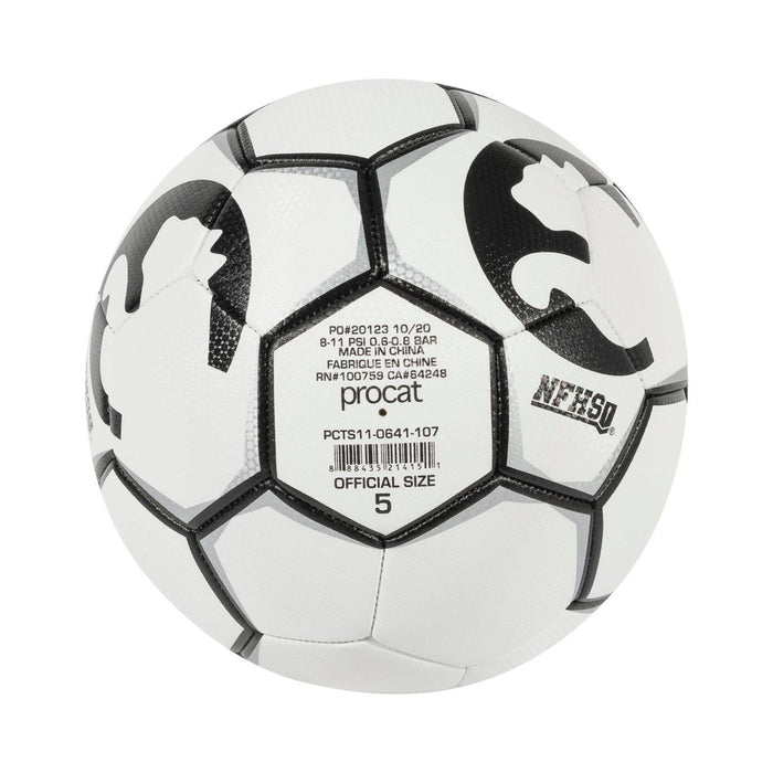 ProCat Breakaway Size 5 NFHS Ball - White