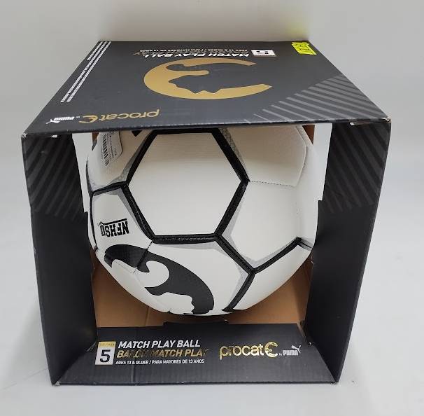 ProCat Breakaway Size 5 NFHS Ball - White