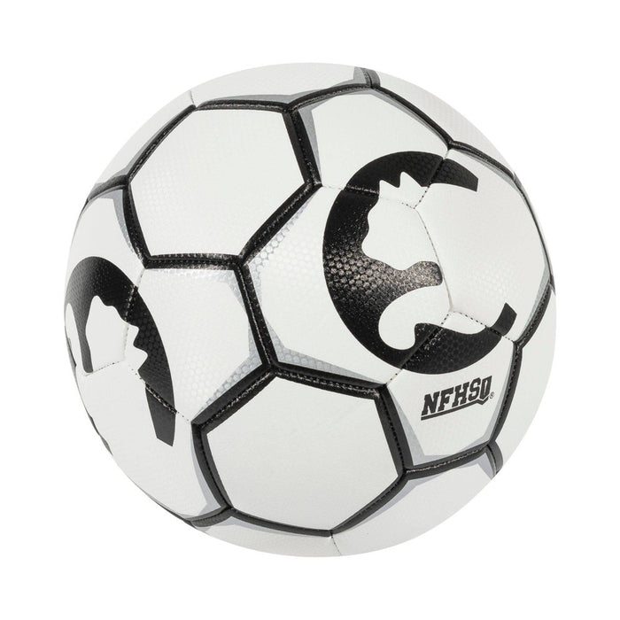 ProCat Breakaway Size 5 NFHS Ball - White