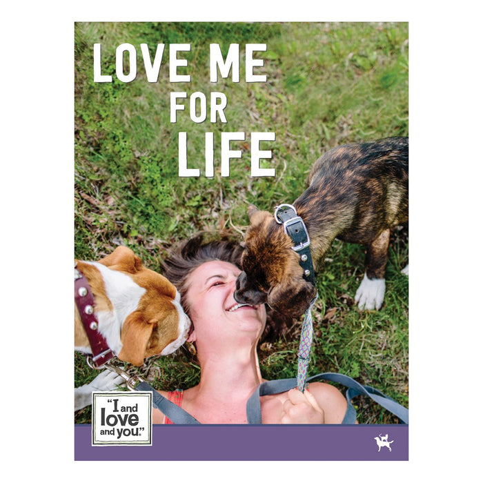 I and Love and You Multipack (Beef Booyah Stew & Lambarama Stew) Beef/Lamb Wet Dog Food - 13oz/6pk