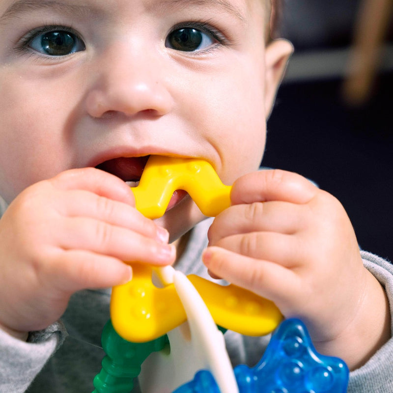 Baby Einstein Ocean Explorers Sea of Sensory Teether Toy