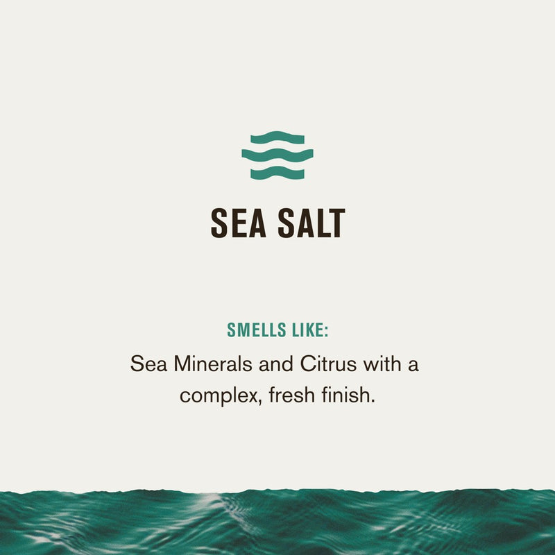Every Man Jack Sea Salt Hydrating Men's 3-in-1 Body Wash and Shampoo and Conditioner - 28.8 fl oz