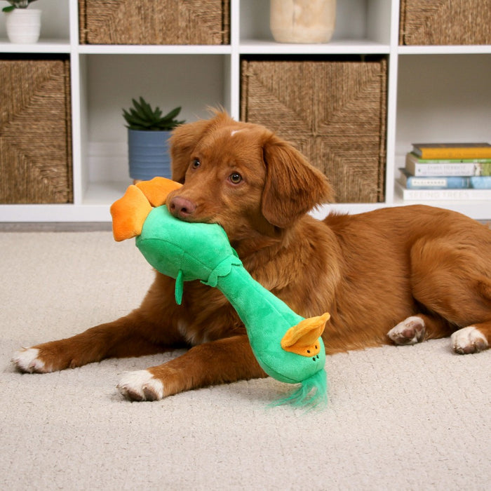TrustyPup Long Neck Duck Dog Toy