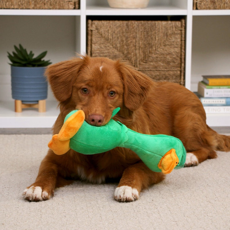 TrustyPup Long Neck Duck Dog Toy