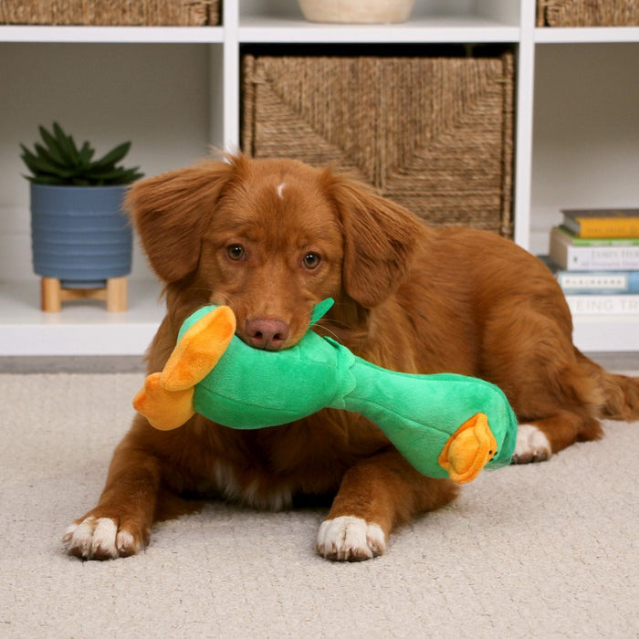 TrustyPup Long Neck Duck Dog Toy
