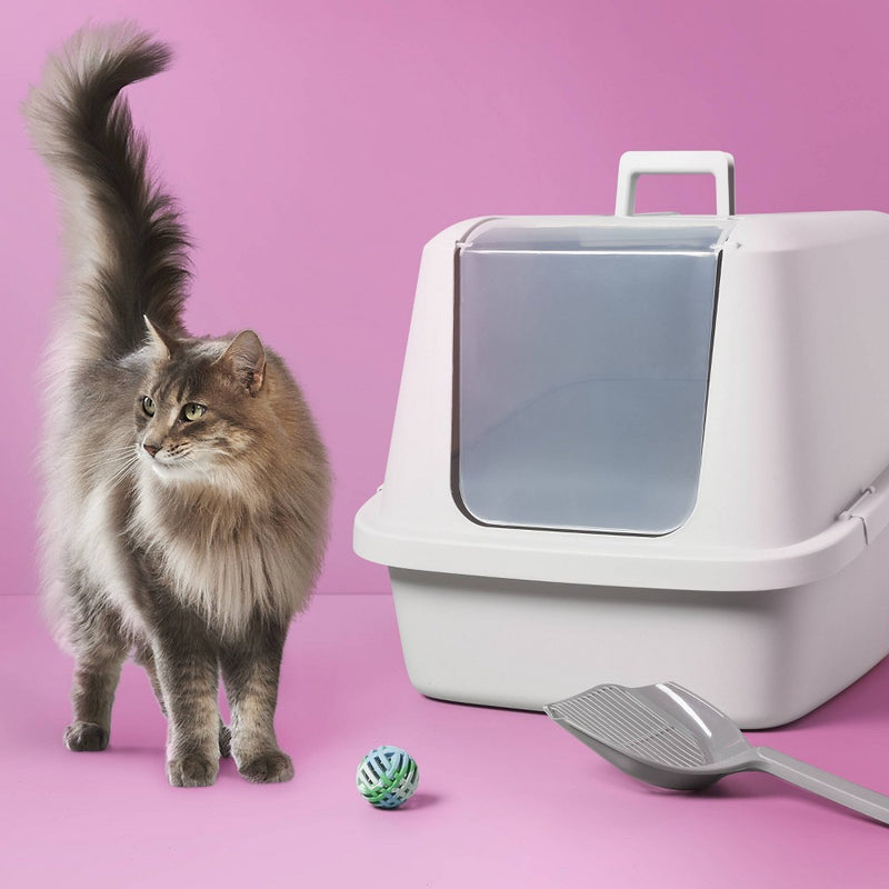 Enclosed Cat Litter Box - Gray - XL - up & up (LOCAL PICKUP ONLY)