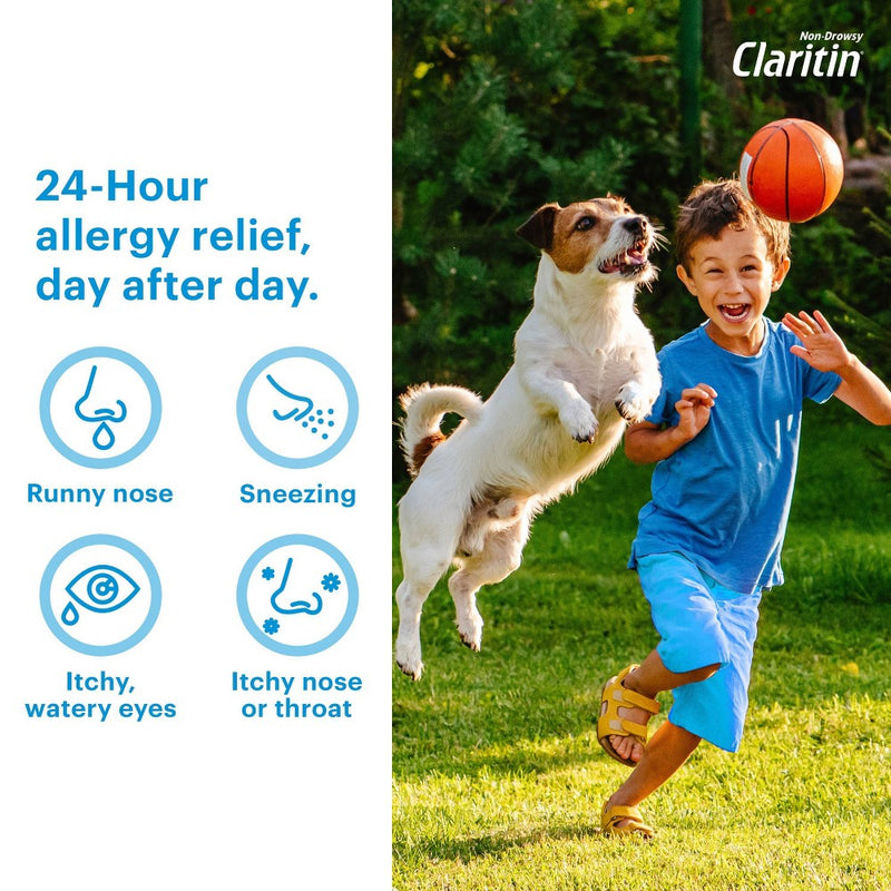 Children's Claritin Loratadine Allergy Relief 24 Hour Non-Drowsy Grape Liquid - 4 fl oz