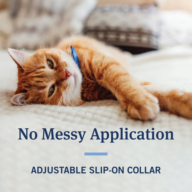 PetArmor Flea & Tick Cat Collar