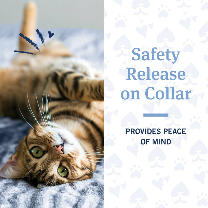 PetArmor Flea & Tick Cat Collar