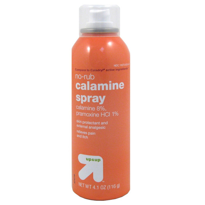 Spray Calamine Lotion - 4.1oz - up & up