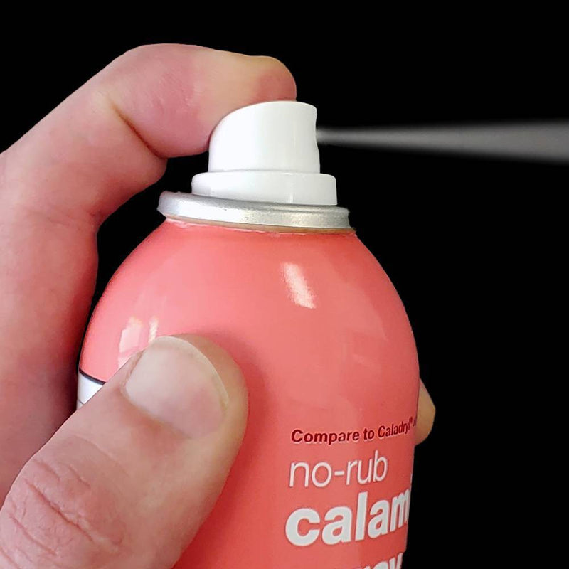 Spray Calamine Lotion - 4.1oz - up & up