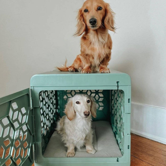 KindTail PAWD Cat and Dog Crate - S - Light Green