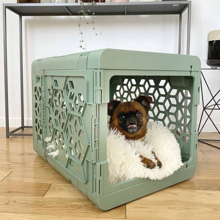 KindTail PAWD Cat and Dog Crate - S - Light Green