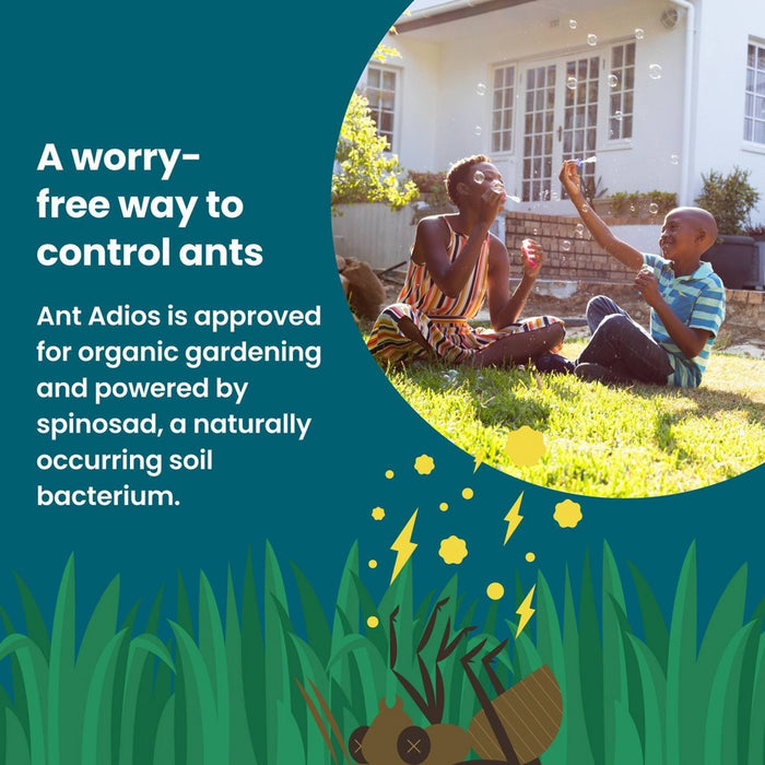 Sunday 2lbs Ant Insect and Ant Killer