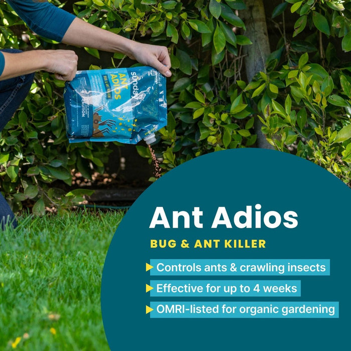 Sunday 2lbs Ant Insect and Ant Killer