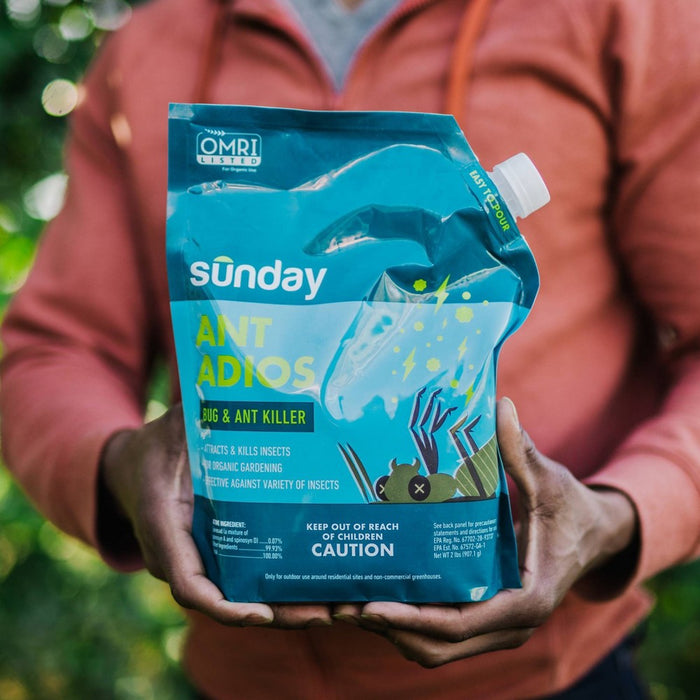 Sunday 2lbs Ant Insect and Ant Killer