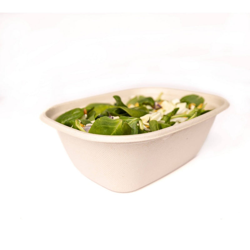 Matter Compostable Food Storage Container - 37 fl oz/5ct