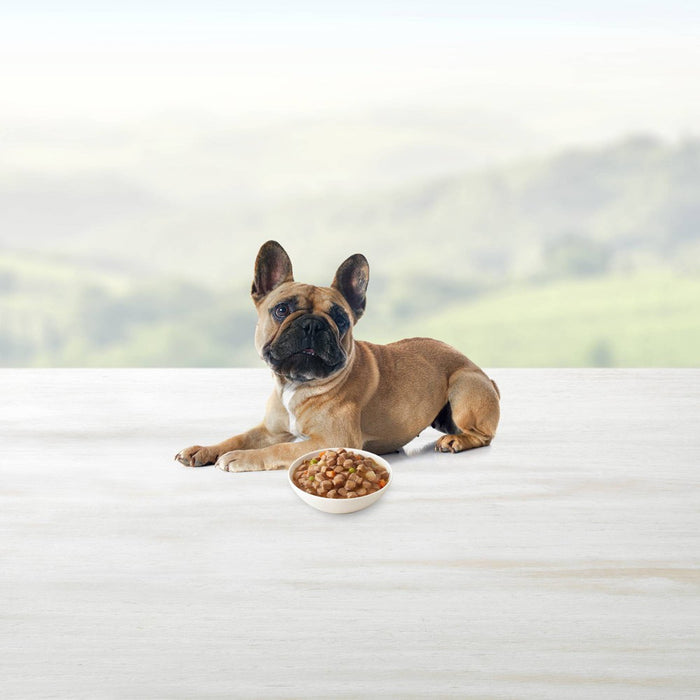 Blue Buffalo Delights Natural Adult Small Breed Wet Dog Food Cup Prime Rib Beef Flavor in Hearty Gravy - 3.5oz