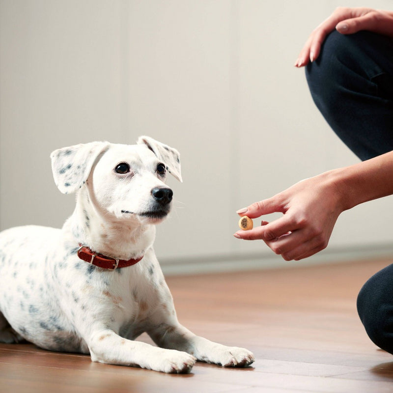 Milk-Bone Marosnacks Dog Treat with Peanut Butter Flavor - 40oz (LOCAL PICKUP ONLY)