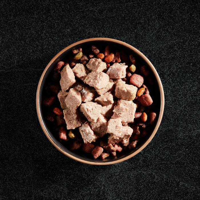 Cesar Classic Loaf in Sauce Filet Mignon Beef Flavor Adult Wet Dog Food - 3.5oz