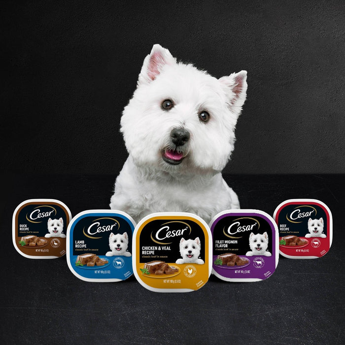 Cesar Classic Loaf in Sauce Filet Mignon Beef Flavor Adult Wet Dog Food - 3.5oz