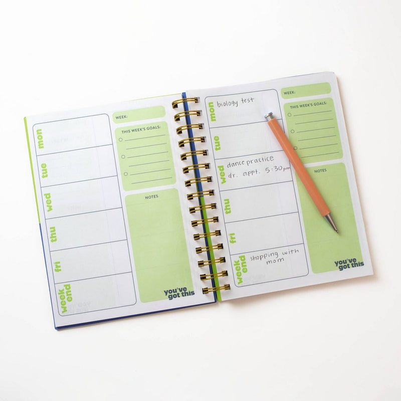 Planner Smiley - Bullseye's Playground