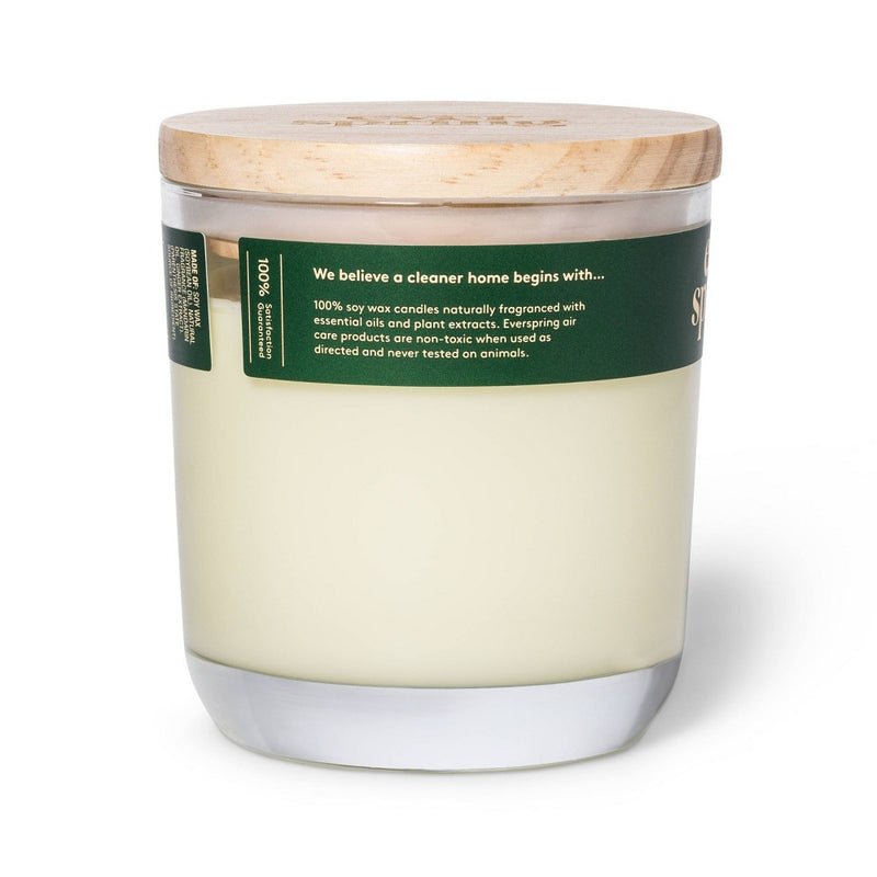 2-Wick Mandarin & Ginger 100% Soy Wax Candle - 8oz - Everspring