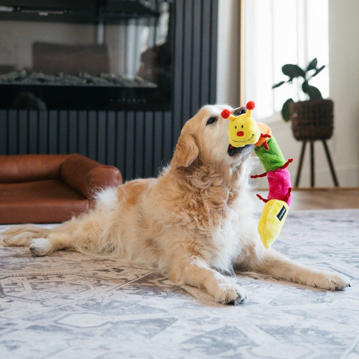 ZippyPaws Caterpillar Dog Toy - Yellow