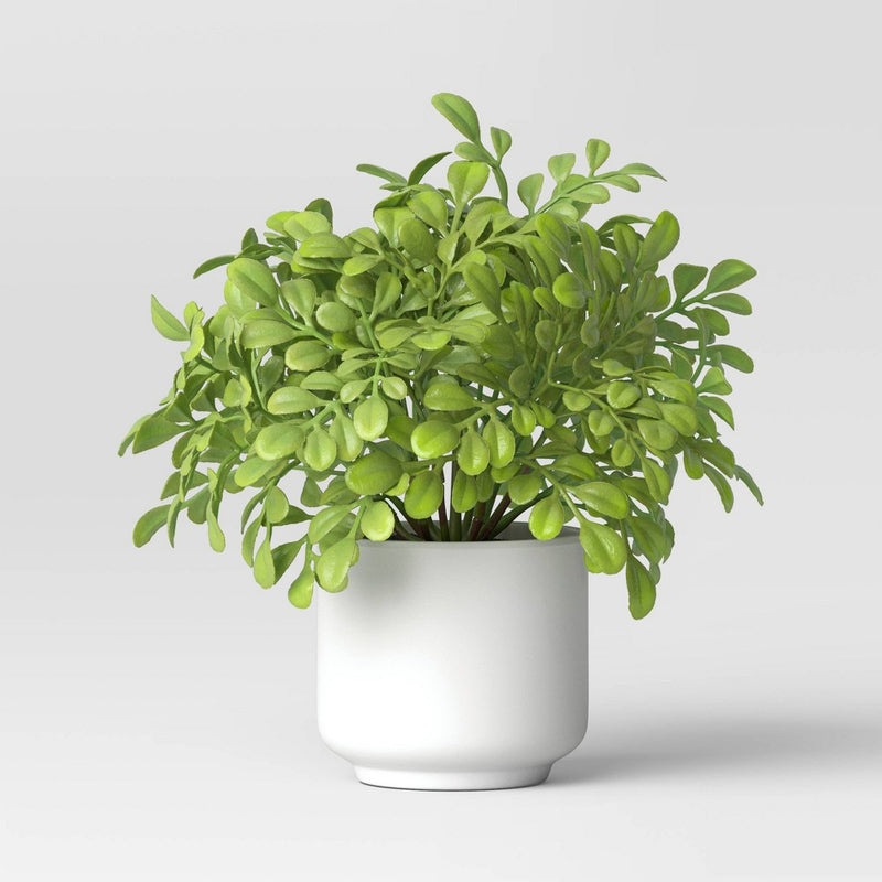 Artificial Boxwood Plant - Threshold