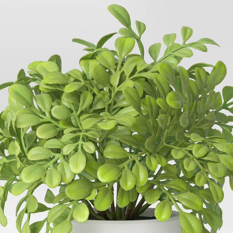 Artificial Boxwood Plant - Threshold