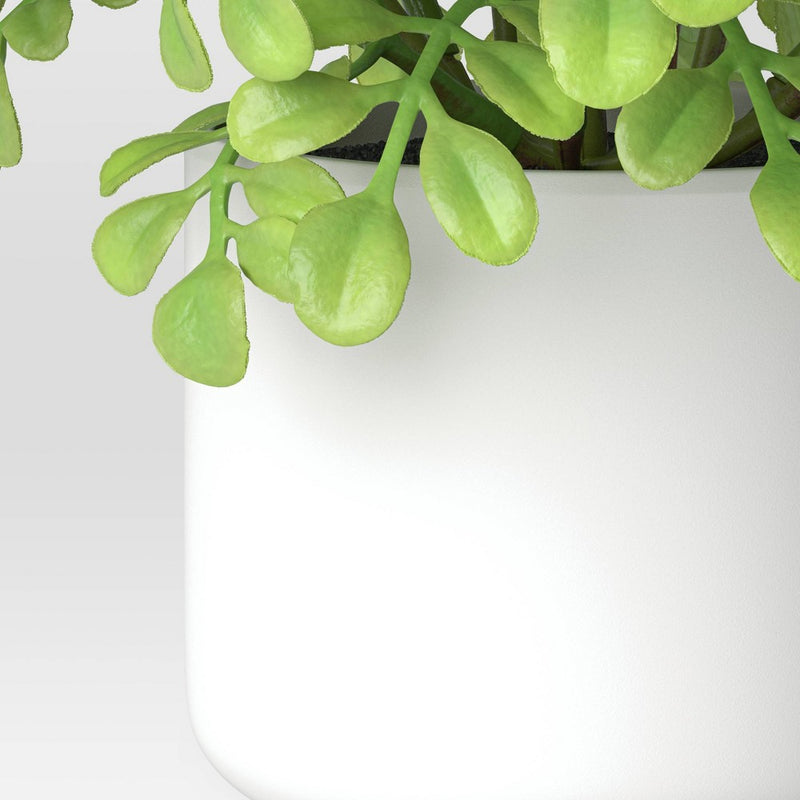 Artificial Boxwood Plant - Threshold
