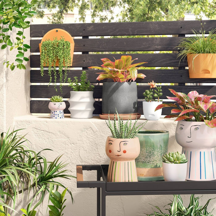 2pc Self-Watering Plastic Indoor Outdoor Planter Pots White 4"x4" - Room Essentials