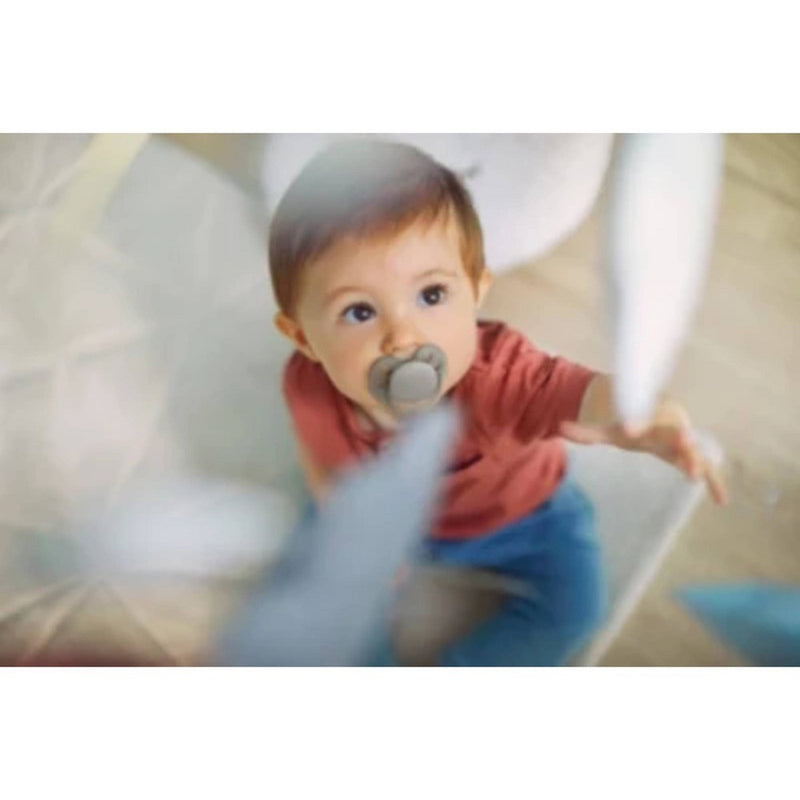 Avent Philips Ultra Soft Pacifier 6-18 Months - Beige/Dawn, Blue/Gray - 2pk