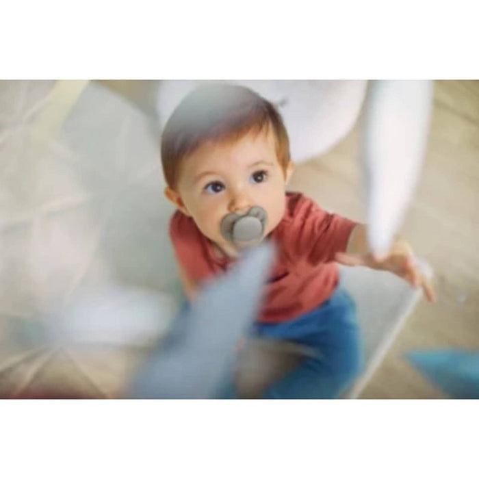 Avent Philips Ultra Soft Pacifier 6-18 Months - Beige/Dawn, Blue/Gray - 2pk